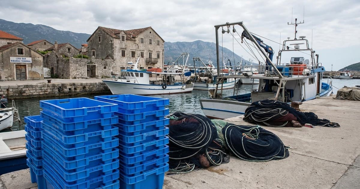 Modernizacija crnogorskog ribarstva kroz nove investicije